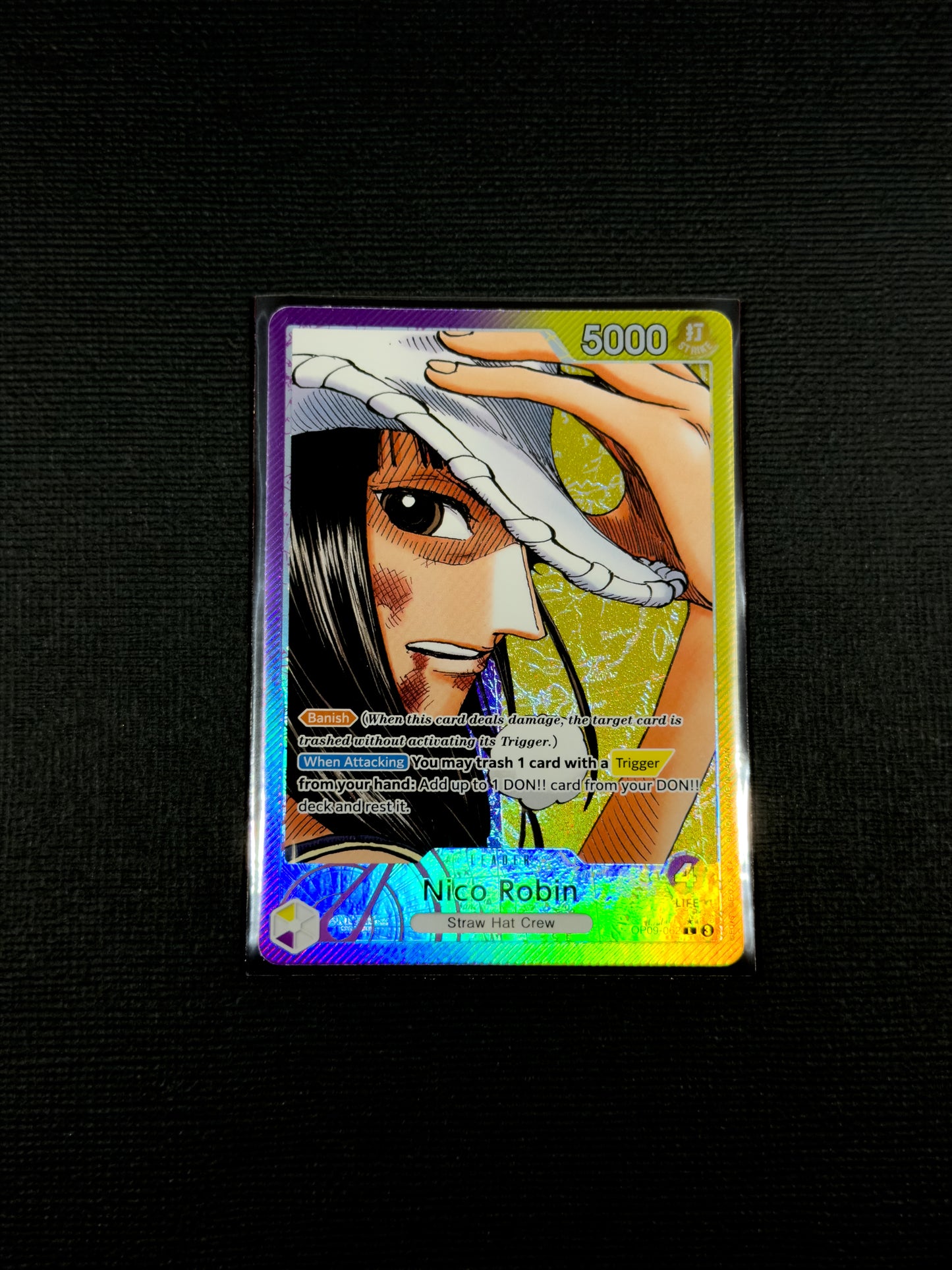 Dual Matte Standard Sleeves 100